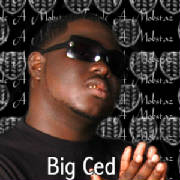 bigced.jpg